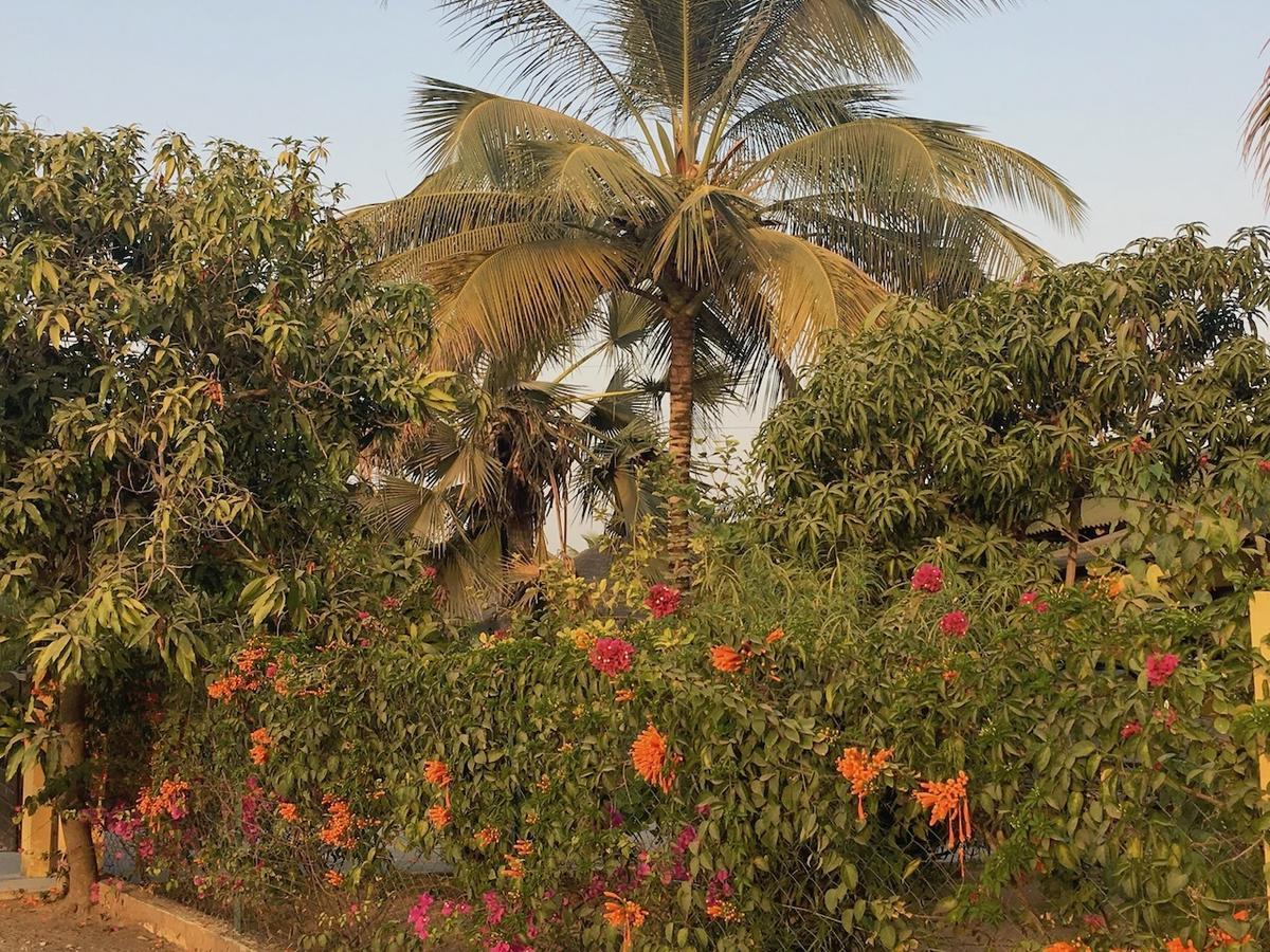 Les Maisons De Marco Senegal - B&B Cap Skirring Exterior photo