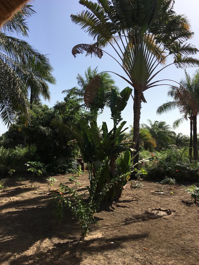 Les Maisons De Marco Senegal - B&B Cap Skirring Exterior photo