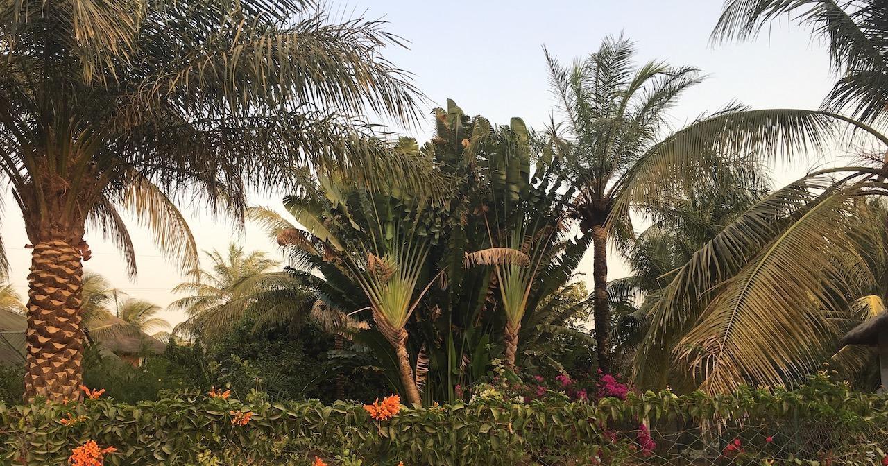 Les Maisons De Marco Senegal - B&B Cap Skirring Exterior photo