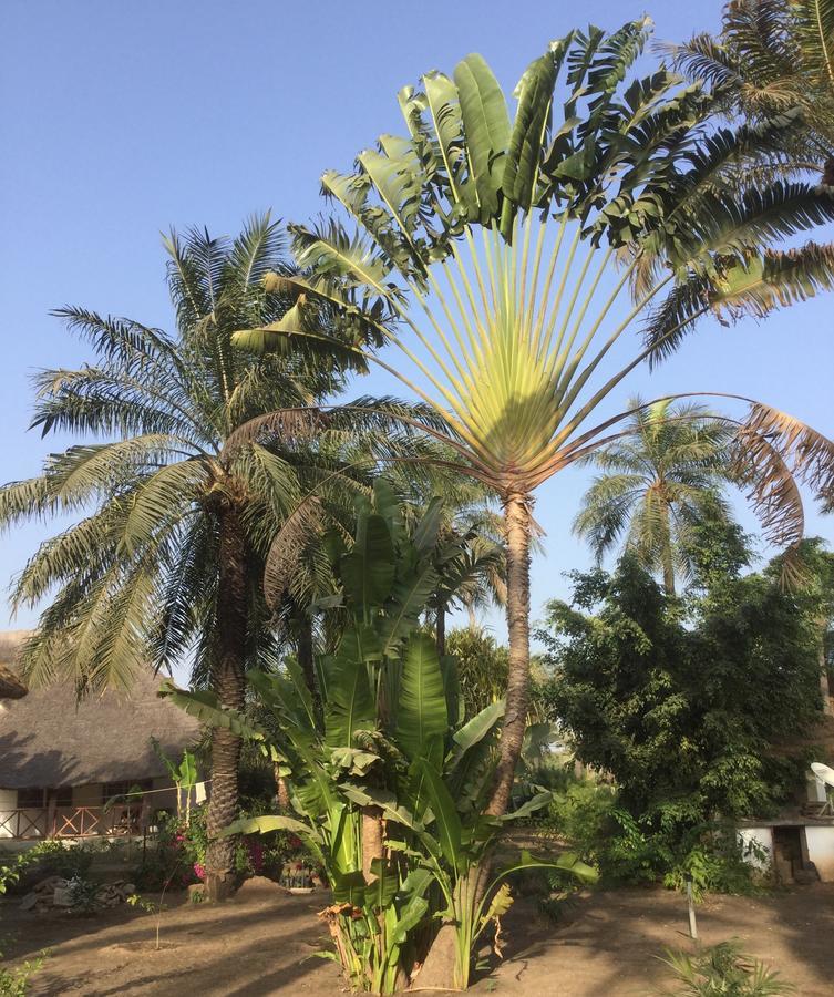 Les Maisons De Marco Senegal - B&B Cap Skirring Exterior photo
