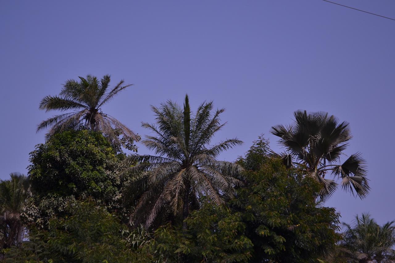 Les Maisons De Marco Senegal - B&B Cap Skirring Exterior photo